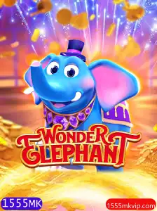 Aventuras no Mundo de WonderElephant